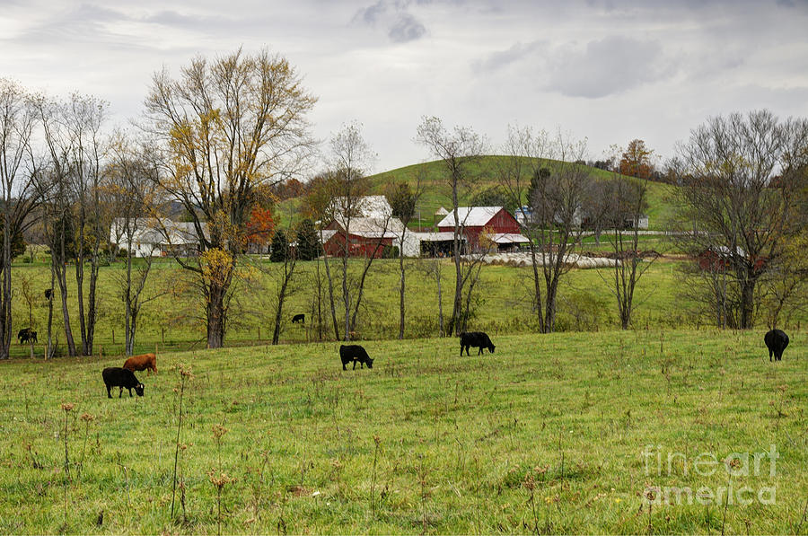 Pastoral Photograph by Larry Ricker