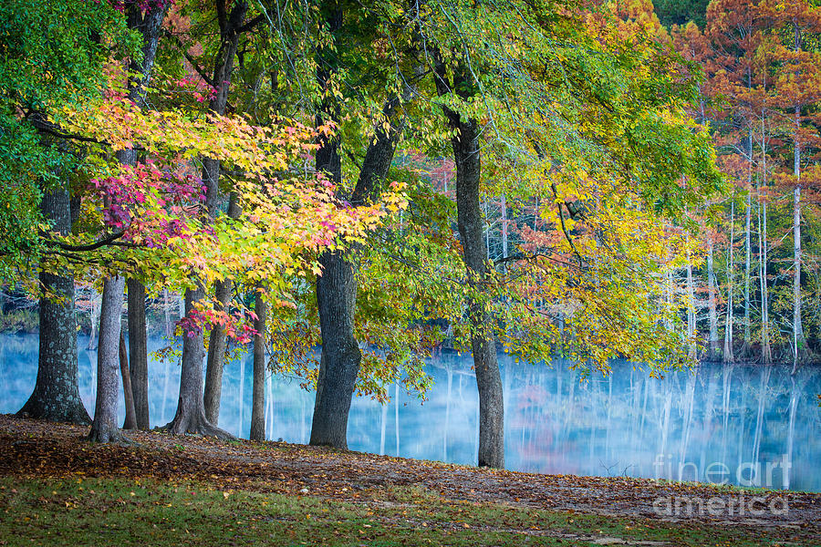 America Photograph - Pastoral River by Inge Johnsson America Photograph - Pastoral River by Inge Johnsson
