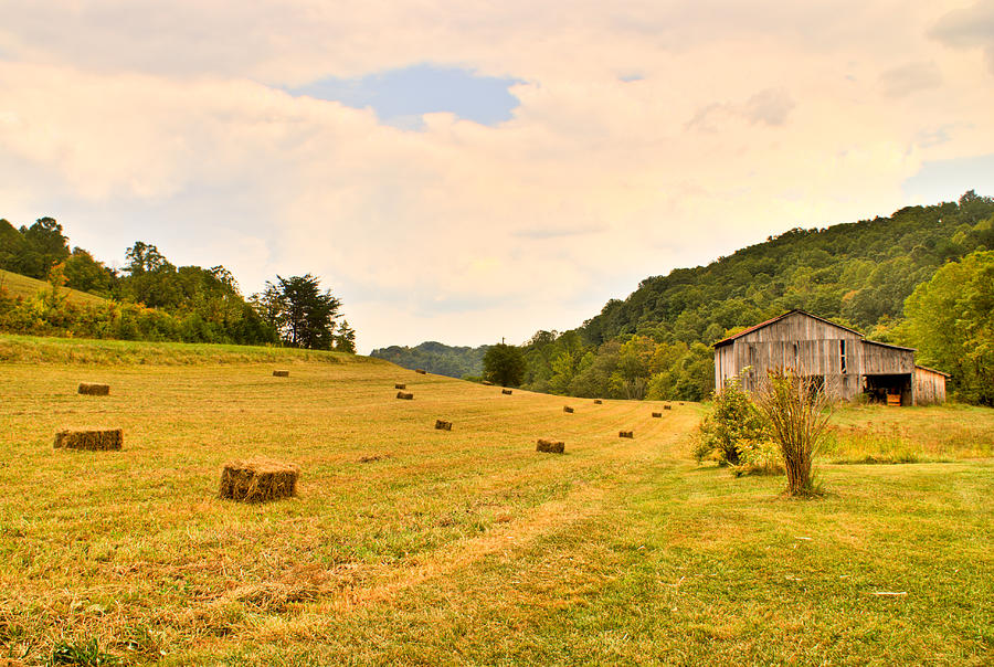 Pastorial Framland in Kentucky Photograph by Douglas Barnett