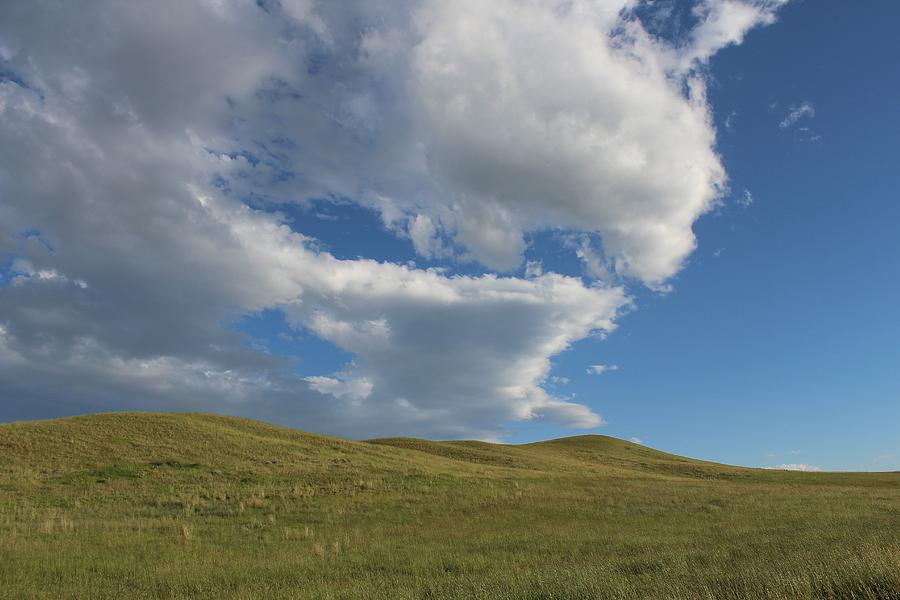 Pastural Bliss Photograph by Mark Eisenbeil | Fine Art America