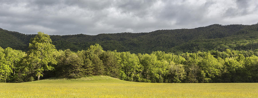 Pastural Grounds Photograph by Jon Glaser