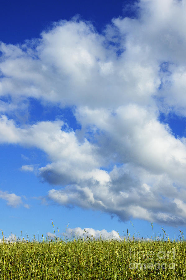 Pasture and Sky Photograph by Thomas R Fletcher - Fine Art America