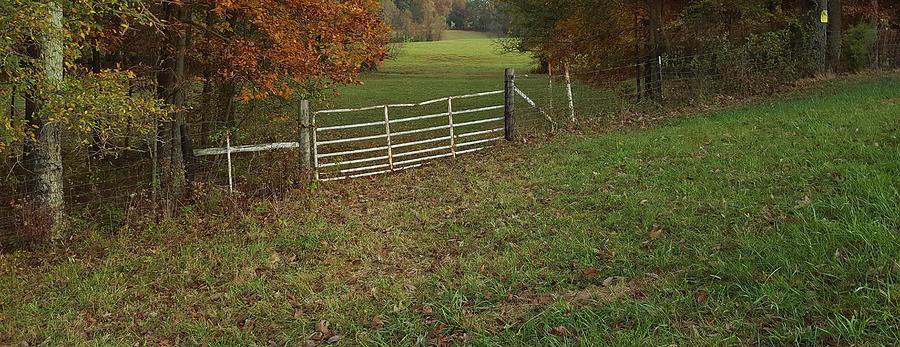Pasture Gate 2 Photograph by Greg Jackson
