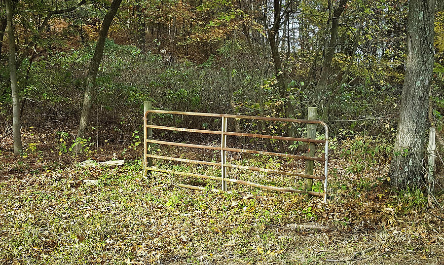 Pasture Gate 3 Photograph by Greg Jackson