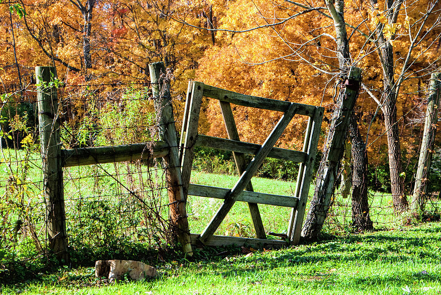 Vintage Photograph - Pasture Gate by Phyllis Taylor