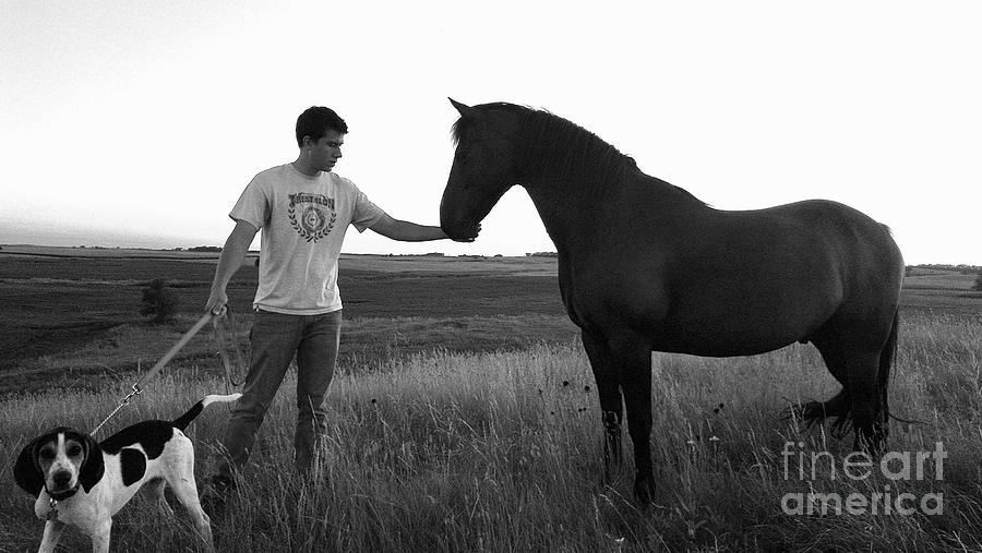 Pasture Greeting In Bw Photograph