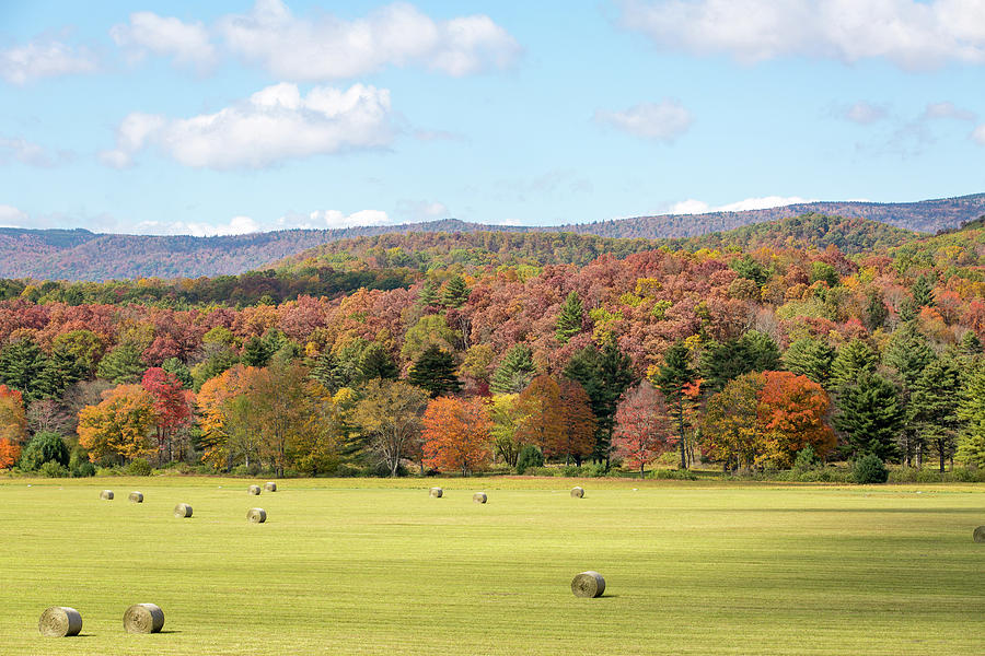 Pasture In The Fall Photograph