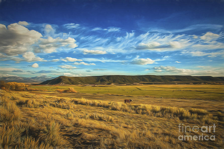 Pasture Land  ... Photograph by Chuck Caramella