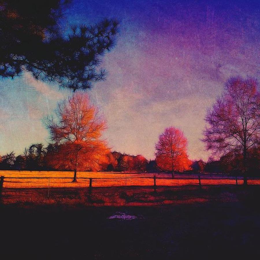 Sunset Photograph - Pasture and Trees by Steven Gordon