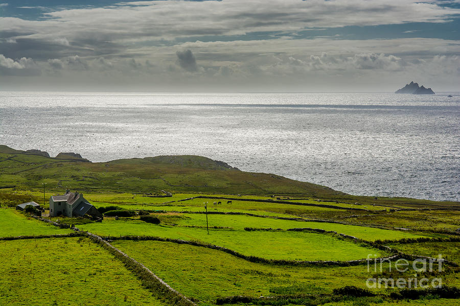 Pastures at the Coast of Ireland Photograph by Andreas Berthold