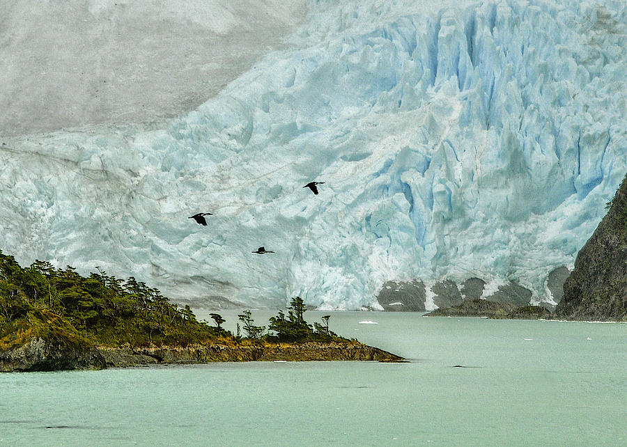Patagonia Glacier Photograph by Alan Toepfer