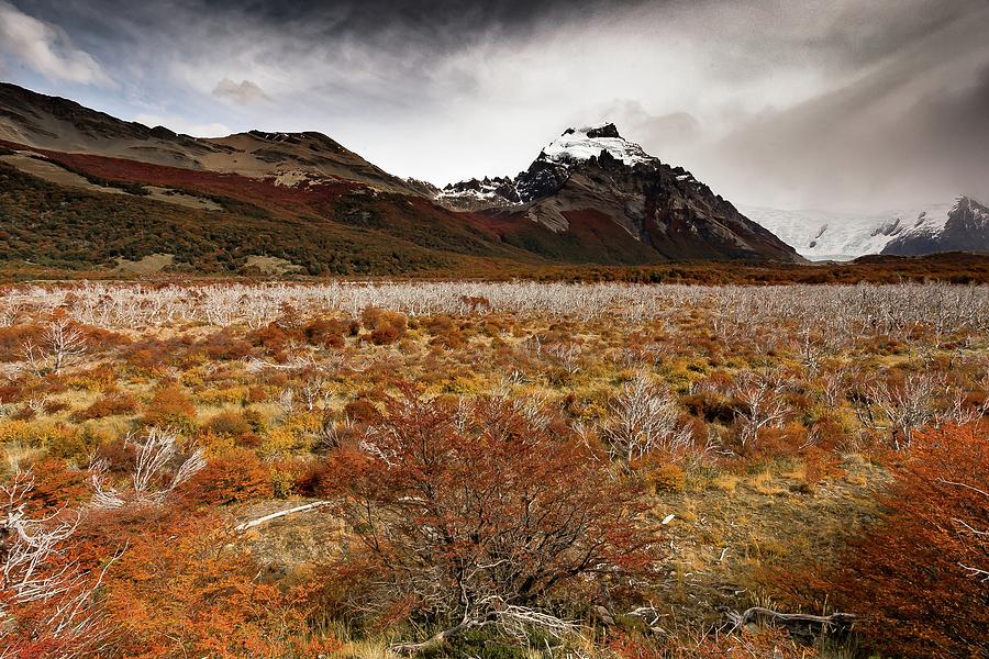 Patagonia Valley Photograph by Ryan Weddle