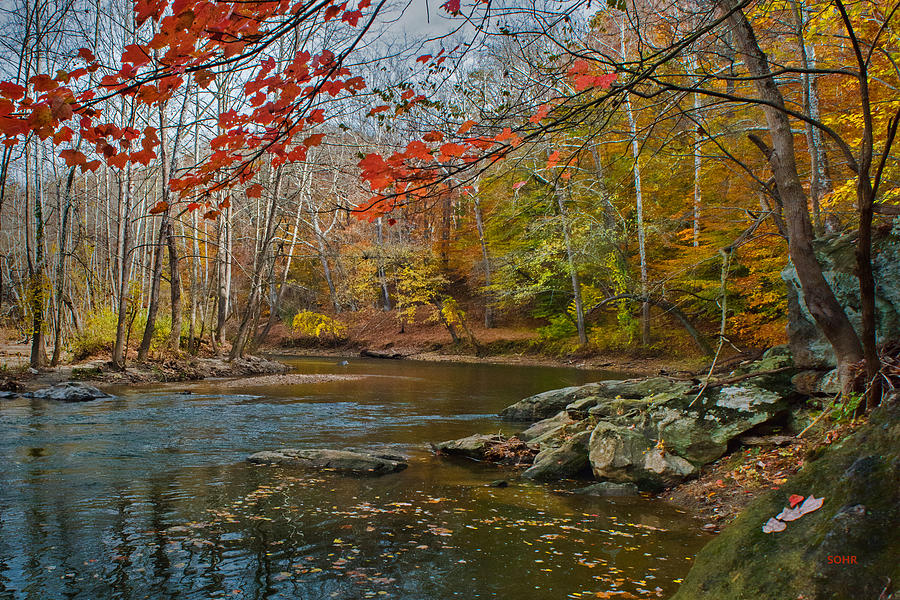 Patapsco River - Fall Foliage Photograph by Dana Sohr