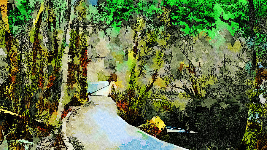 Patchwork Forest Photograph by David Coleman Fine Art America