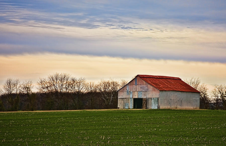 Patchwork Metal-Siding Barn with Rusted Roof Photograph by Greg Jackson