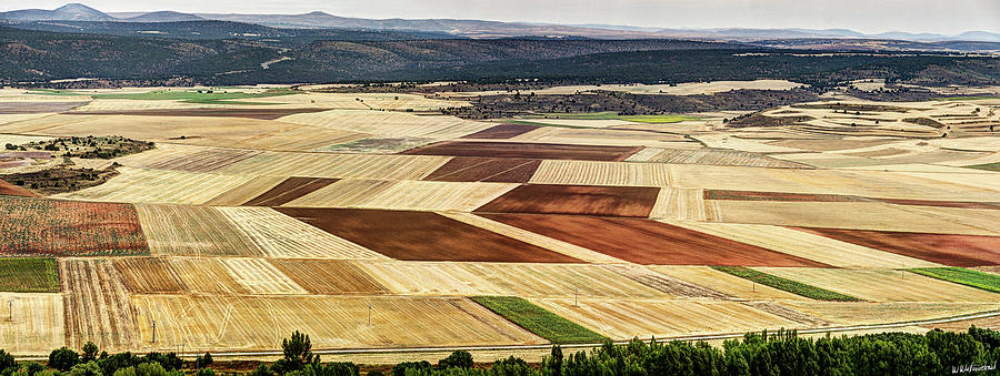 Patchwork of Crops by the Duero River Photograph by Weston Westmoreland