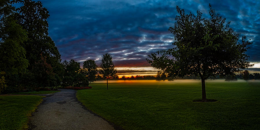 Buffalo Photograph - Path along a Misty Twilight Meadow by Chris Bordeleau