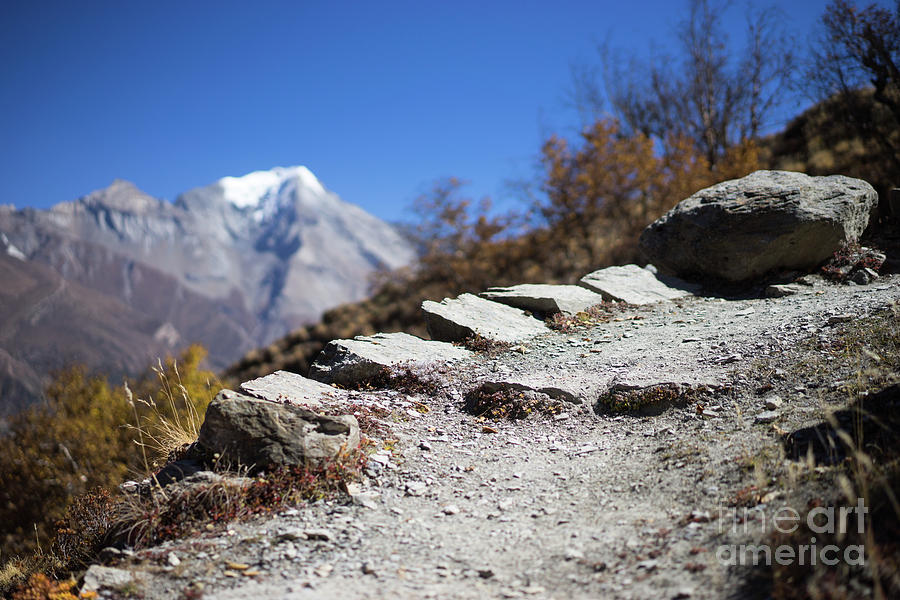 Path and peak in the Himalaya mountains, Annapurna region, Nepal Photograph by Raimond Klavins