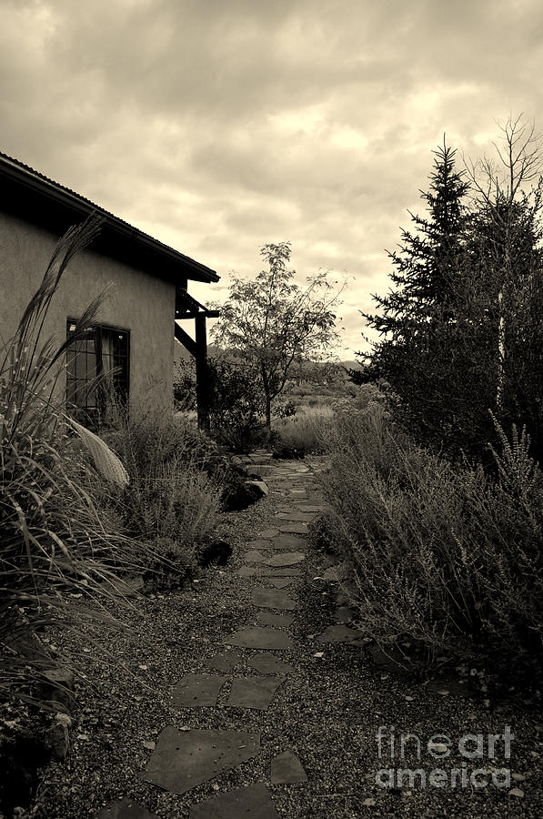 Black And White Photograph - Path by the Casita by Anjanette Douglas