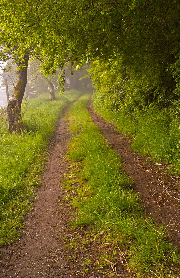 Path from Bullock Lake by Ken Ketchum Path from Bullock Lake by Ken Ketchum