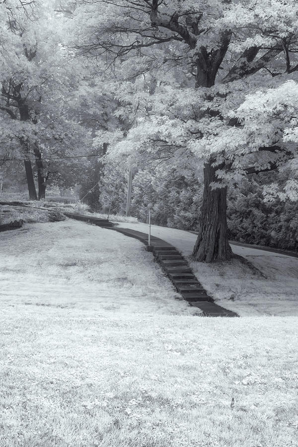 Path In Black And White Photograph by Tom Singleton