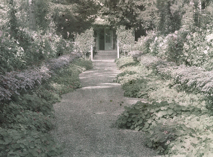 Claude Monet Photograph - Path in Monets Garden at Giverny by French School