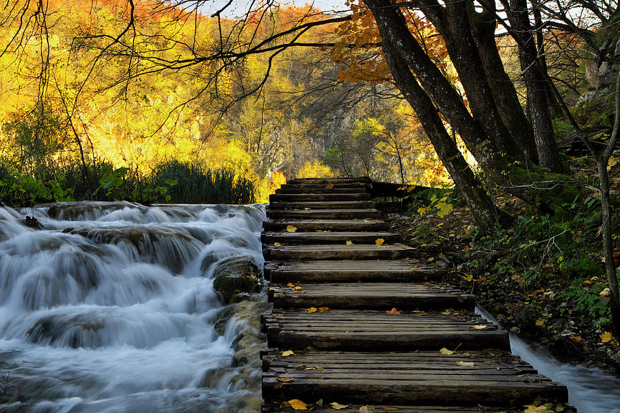 Path in Plitvice Photograph by Ivan Slosar