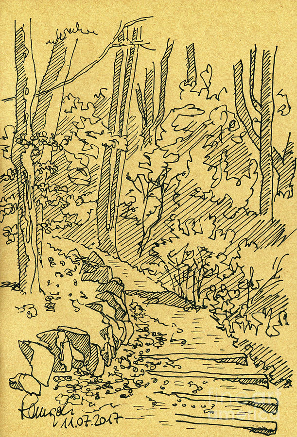 Path in the Forest Fountain Pen Ink Drawing Drawing by Frank Ramspott