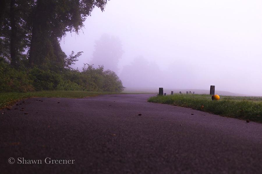 Path in the Mist Photograph by Shawn M Greener