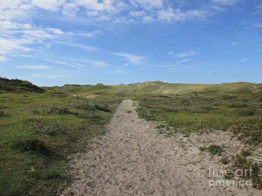 Nature Photograph - Path in the Noordhollandse duinreservaat by Chani Demuijlder