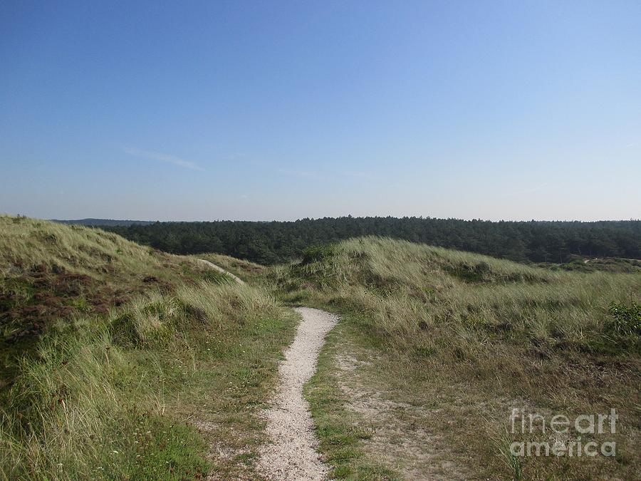 Path in the dunes of Schoorl Photograph by Chani Demuijlder