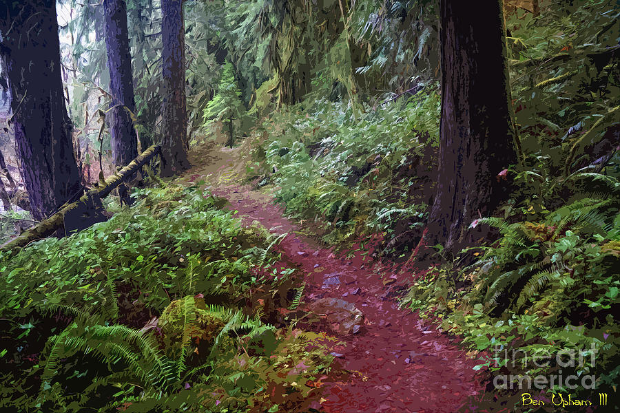 Path in the Woods #1 Photograph by Ben Upham III