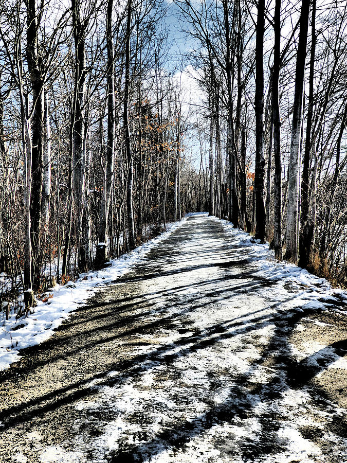 Path in Winter Photograph by Celtic Artist Angela Dawn MacKay
