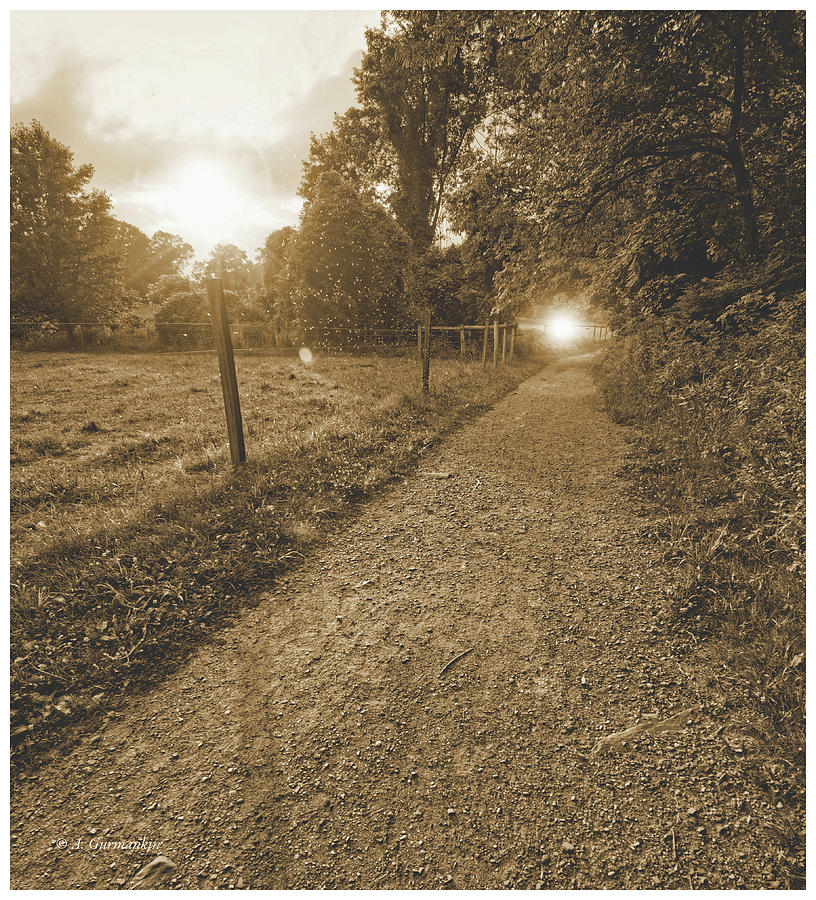 Path into a Spiritual Forest Photograph by A Macarthur Gurmankin