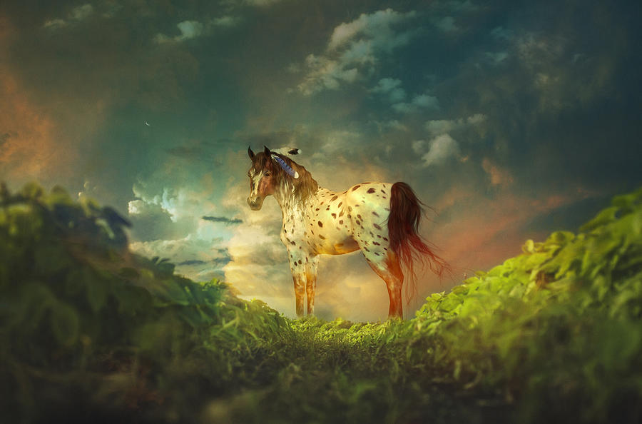 Horse Photograph - Path Of Dreams by Georgiana Romanovna