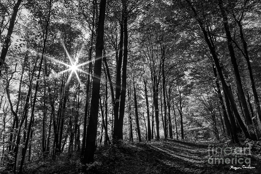 Black And White Photograph - Path of Light by Roger Carlsen