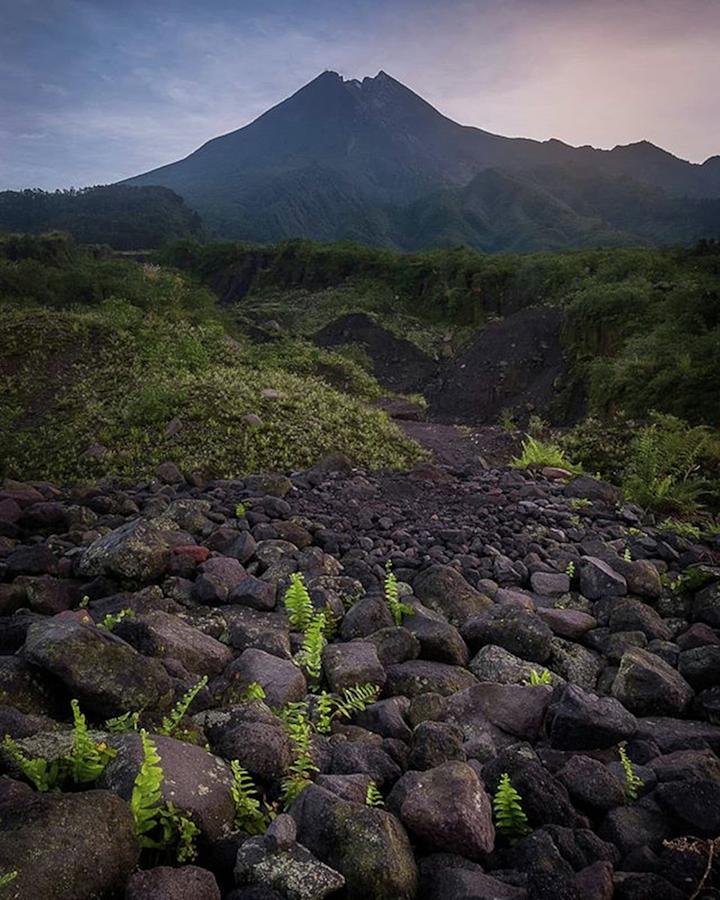 Nature Photograph - Path Of Light

#mountain #sunrise by Rifandiansyah Adi putra