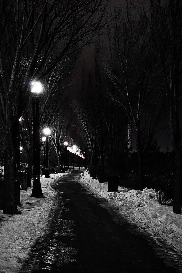 Path on A Winters Night Photograph by Desmond Raymond