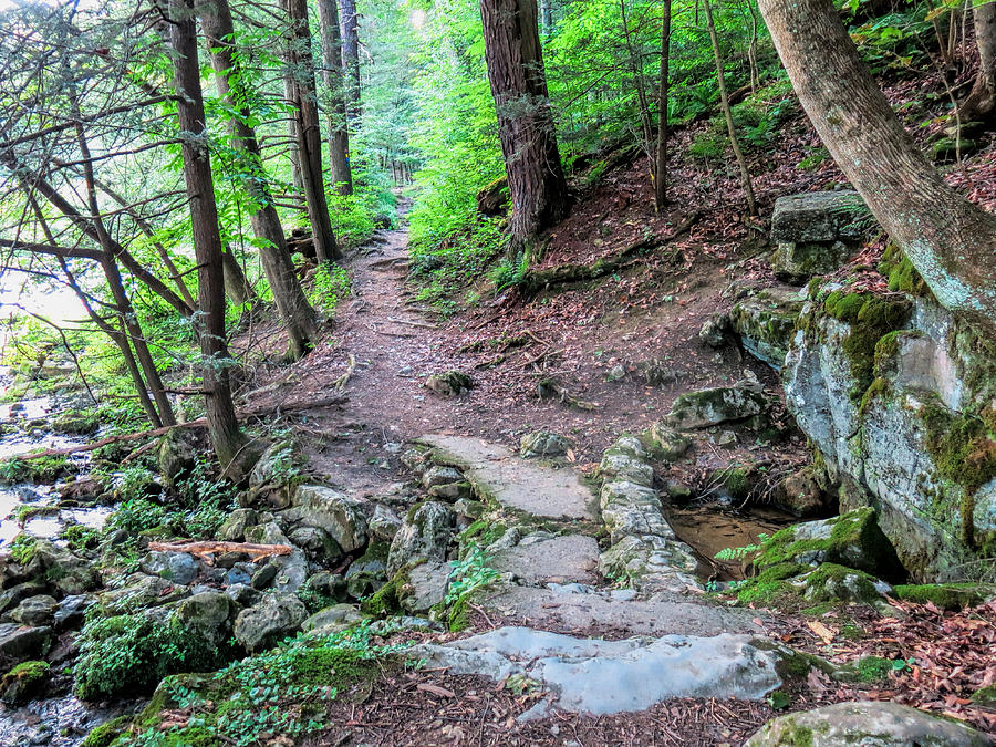 Path Over Limestone Spring Photograph by Jean Macaluso