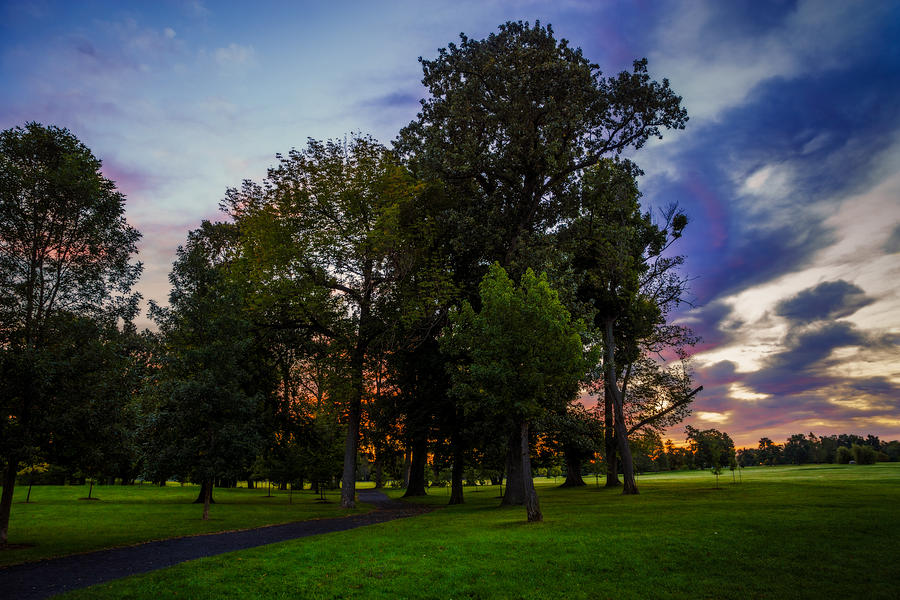 Path Through Delaware Park Oaks Photograph by Chris Bordeleau