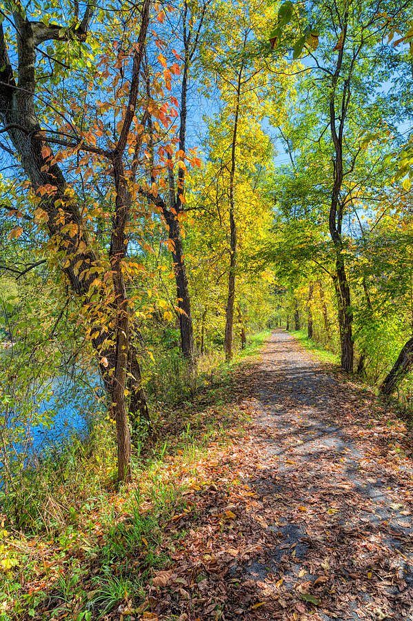 Path through Fall Photograph by John M Bailey