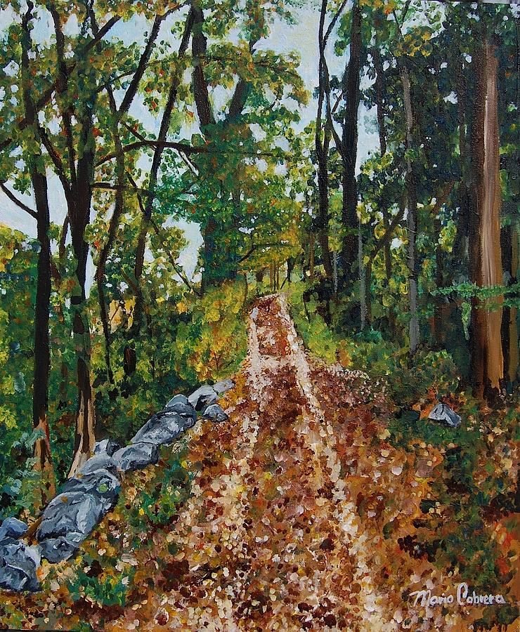 Path Through Forest Painting by Mario Cabrera