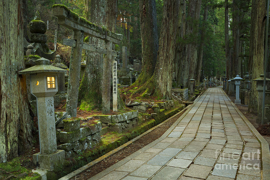 Nature Photograph - Path through Koyasan Okunoin cemetery, Japan by Sara Winter