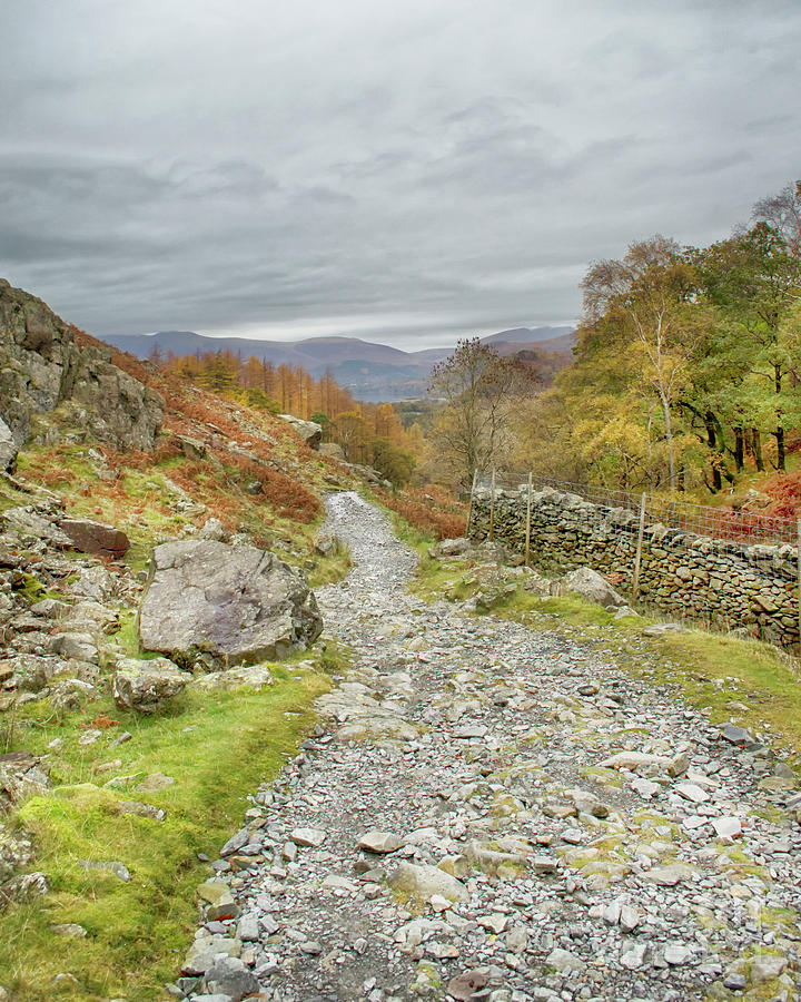 Path Through The Borrowdale Valley Photograph by Linsey Williams