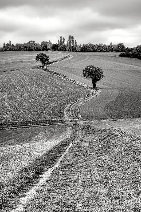 Path Through the French Countryside Photograph by Olivier Le Queinec