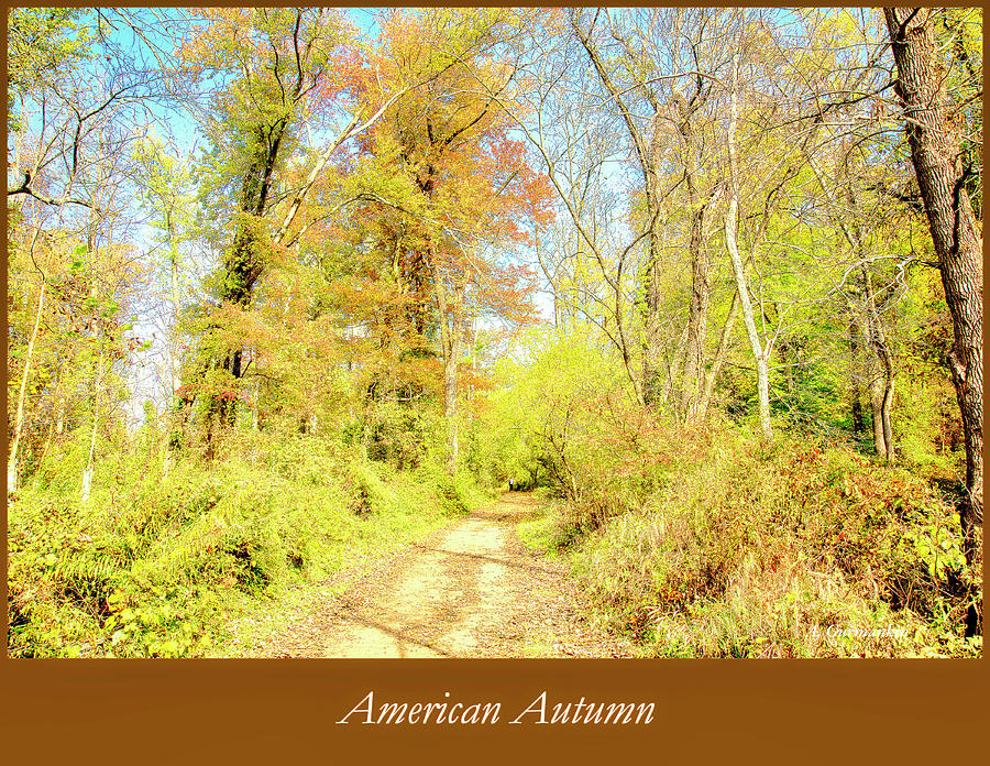 Path Through the Woods, American Autumn, Digital Art Photograph by A Macarthur Gurmankin