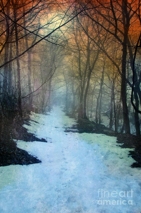 Sunset Photograph - Path Through the Woods in Winter at Sunset by Jill Battaglia
