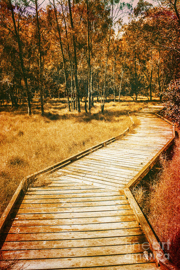 Path to autumn marshlands Photograph by Jorgo Photography