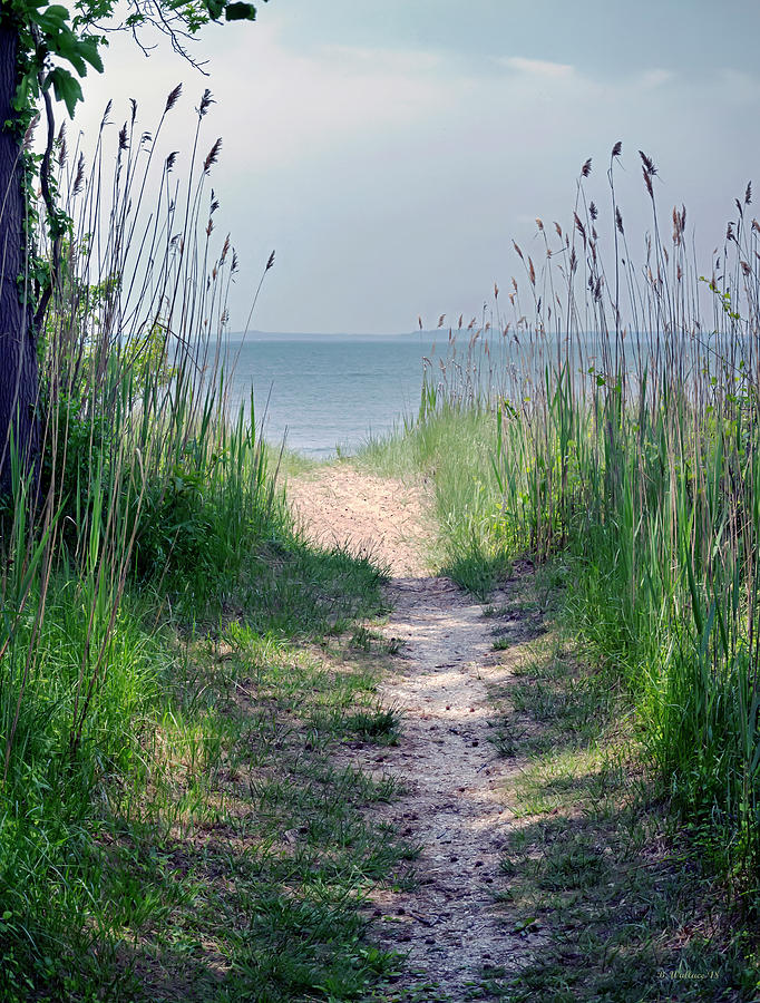 Path To Beach Pano Photograph by Brian Wallace
