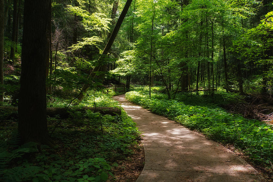 Nature Photograph - Path to Conkles Hollow by Rachel Cohen